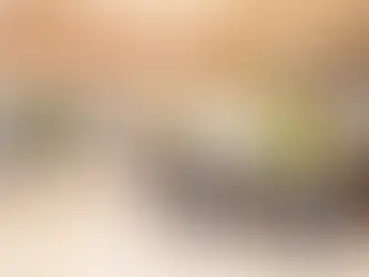 Custom Home Builder Business Plan Template: A Complete Guide