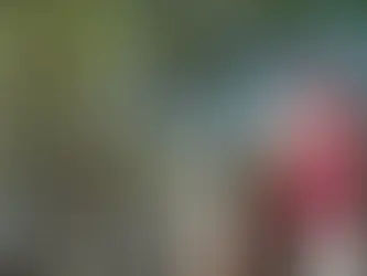 What Multiple Do Tree Service Businesses Sell For?