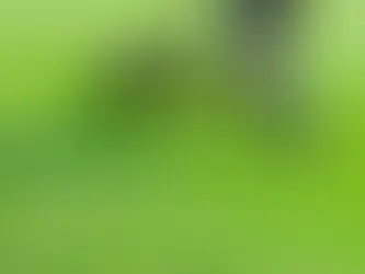 When Should a Lawn Care Company Add More Crews or Trucks?