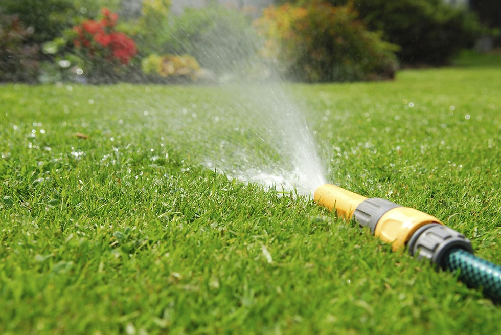Lawn Irrigation