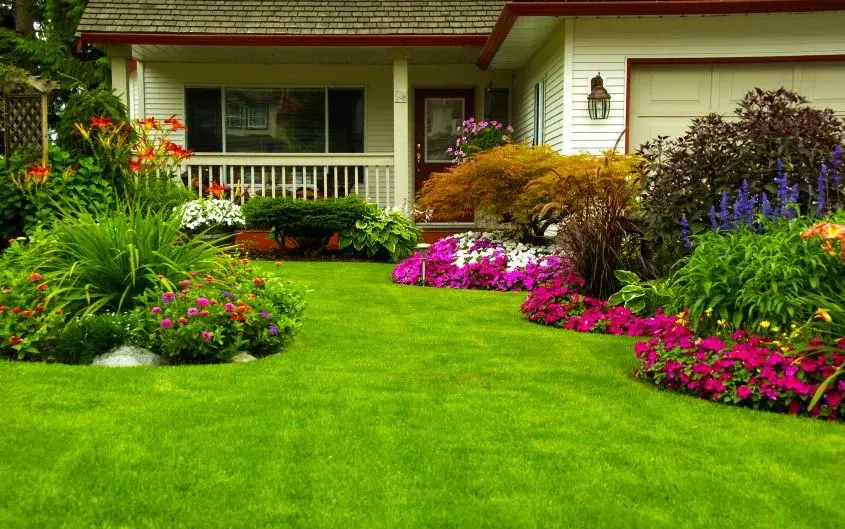 Landscaping Contractor