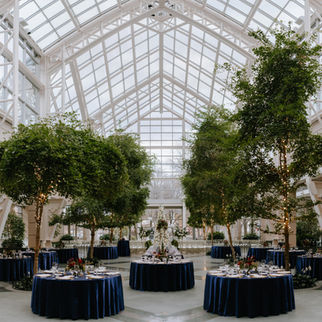Winter Garden by Monroe's wedding venue. Wide angle photo showing venue.