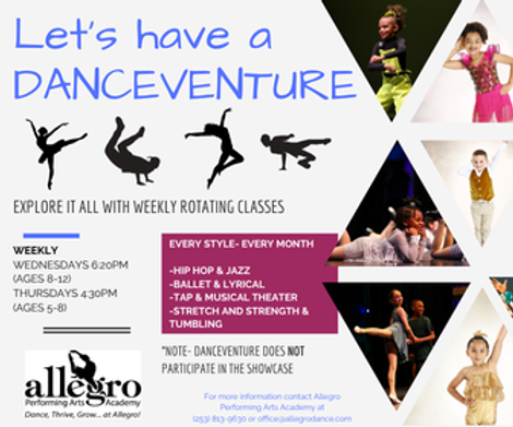 20262027 DanceVenture .png
