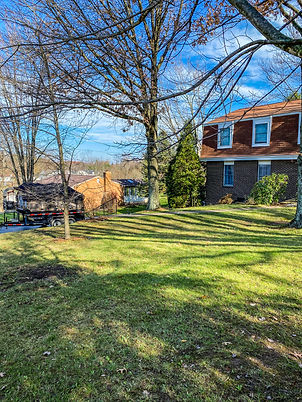 Ott Leaf Cleanup After.JPEG
