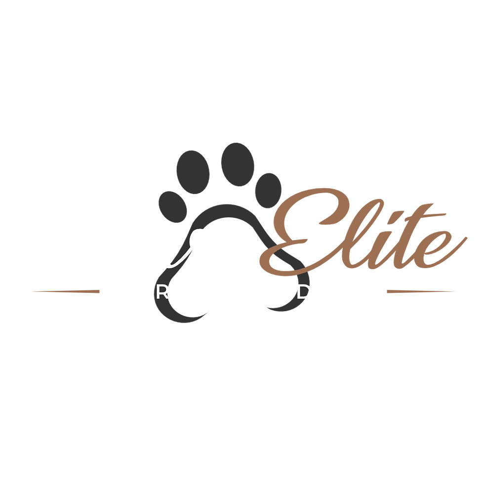 Paws Elite Bernedoodles_black background_rust.png