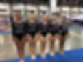 Harbor City Gymnastics Teams
