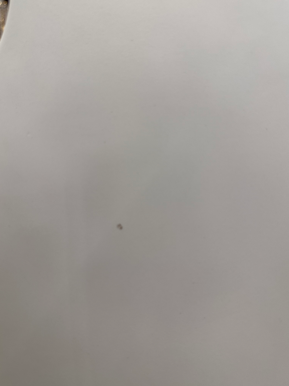 Thumbnail: RB PRO BAJO QUINTO WHITE w black accents 