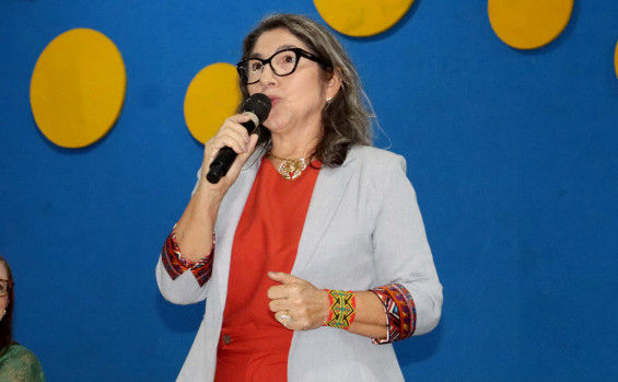 Seminário reuniu mais de 460 profissionais que atuam no Sistema de Garantia de Direitos - Catarina Ingridy/Governo do Tocantins