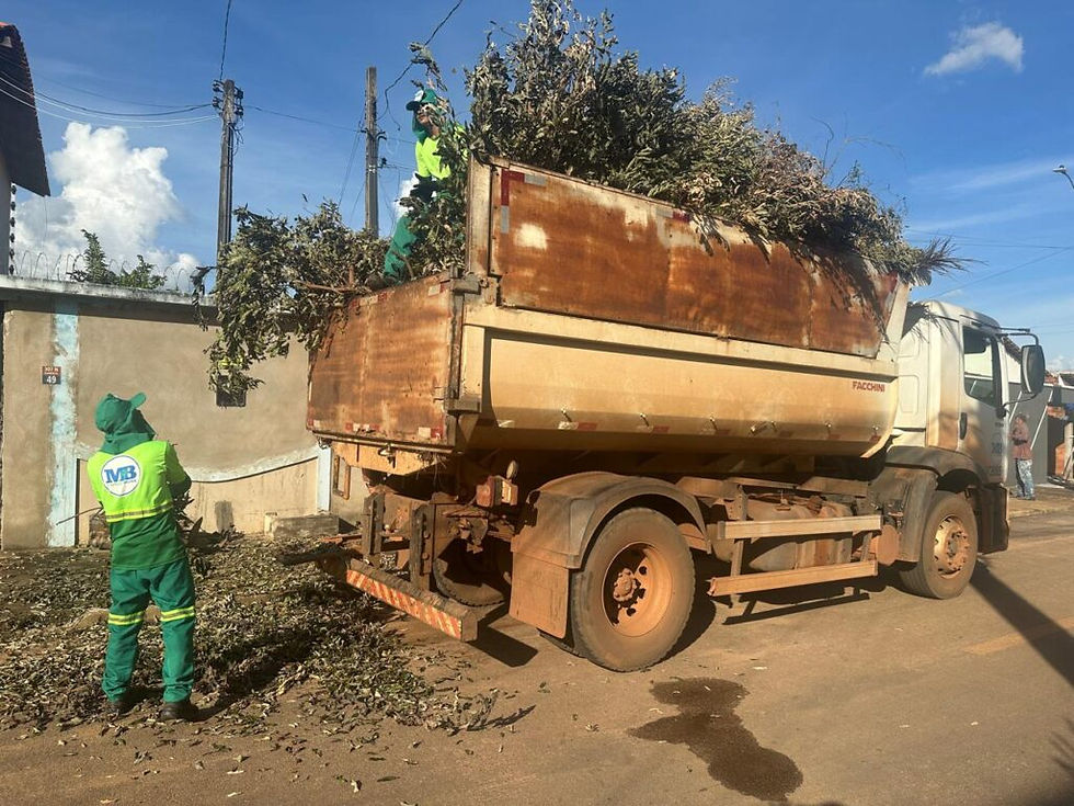Frota de caminhões coletores de galhadas é ampliada em Palmas para atender demanda da população – Foto: Divulgação