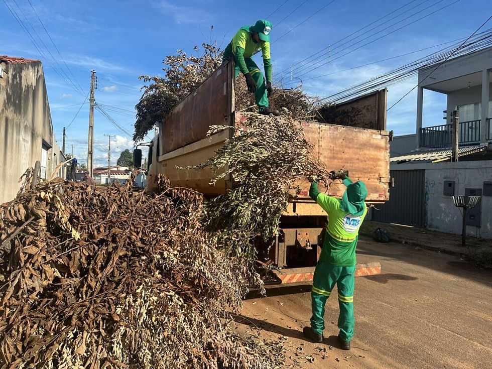 Coleta realizada na Arno 33 (307 Norte), como parte da força-tarefa da Secretaria Municipal de Infraestrutura e Obras Públicas - Foto: Divulgação