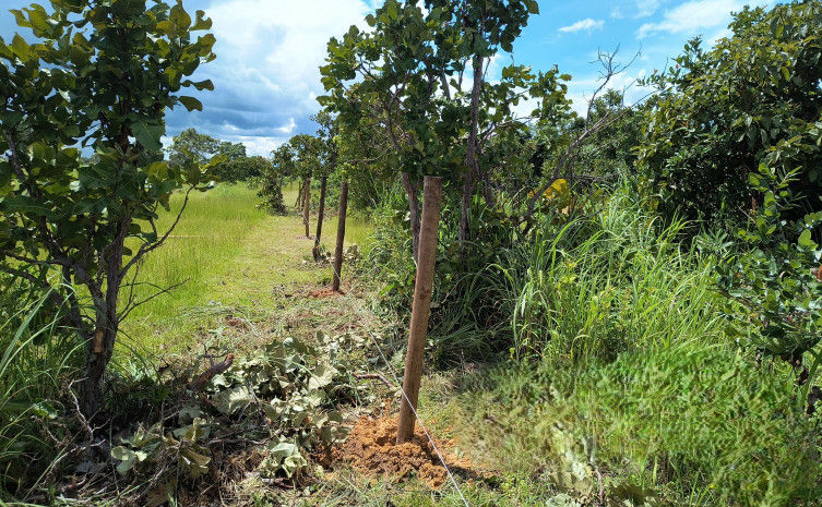 Fase de recuperação de nascentes na região sul já foi iniciada com o trabalho de implantação de cercas em APPs previamente selecionadas - Foto: Divulgação/Semarh