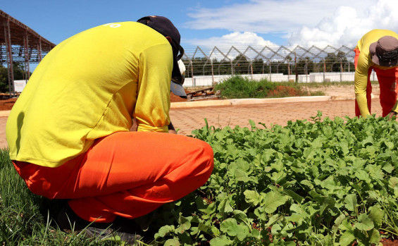 Gerência de Reintegração Social, Trabalho e Renda ao Preso e Egresso faz todo o processo para disponibilização de custodiados - Márcia Rosa/Governo do Tocantins