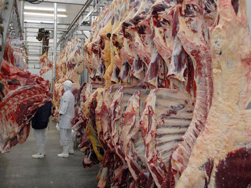 Governo do Tocantins promove encontro de secretários municipais para adesão sanitária de produtos de origem animal