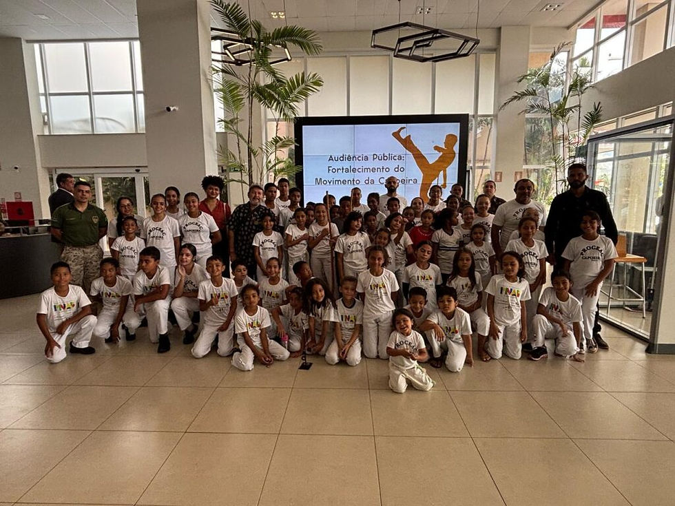 A Câmara Municipal recebeu 70 crianças capoeiristas durante a audiência pública - Foto: Divulgação