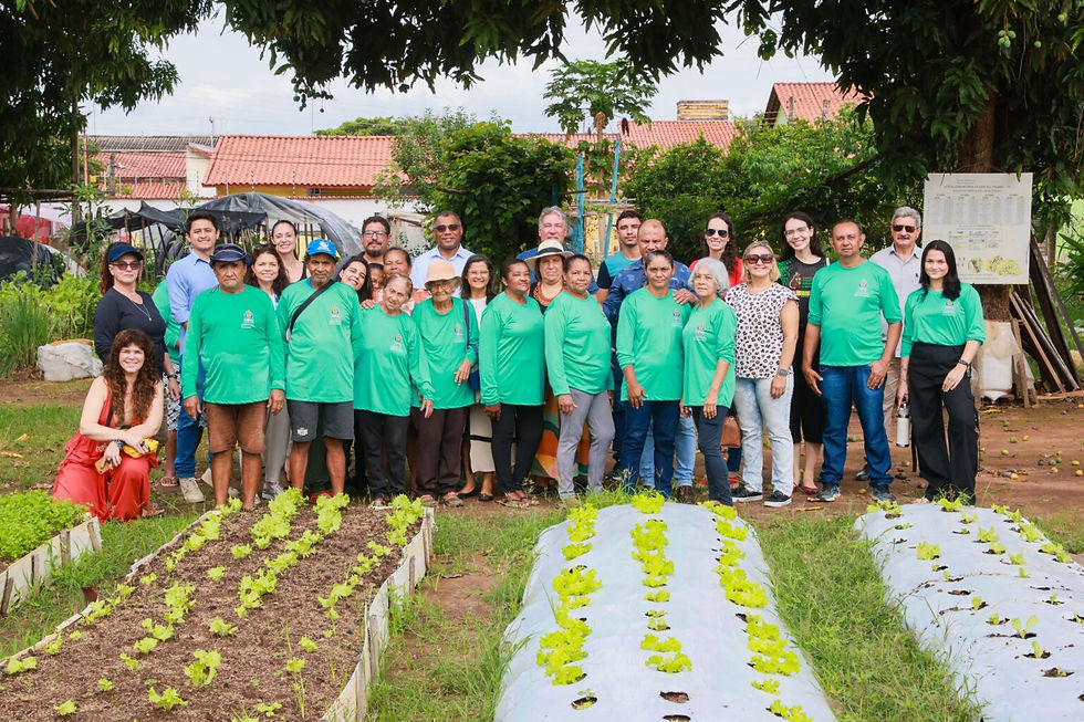 Fortalecimento da agricultura urbana com as hortas comunitárias – Foto: Seasi/Divulgação