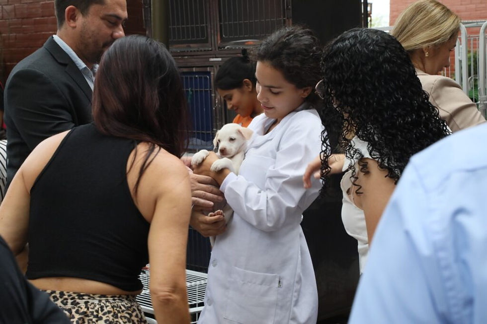 Evento reuniu sociedade civil protetores de animais, Ongs e simpatizantes - foto:Edu Fortes