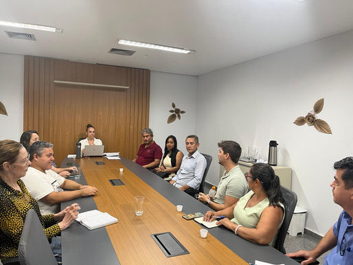 Participação no processo eleitoral do Conselho Nacional da Pessoa com Deficiência é tema de reunião do colegiado de Palmas