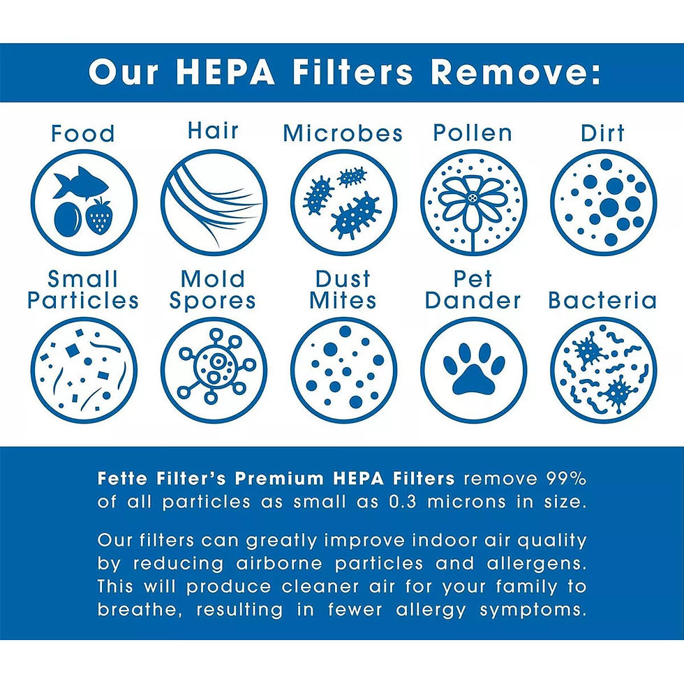 Thumbnail: 2 Pack HEPA Filters, Carbon Booster Sheet HAPF30AT for Holmes AER1 Air Purifiers