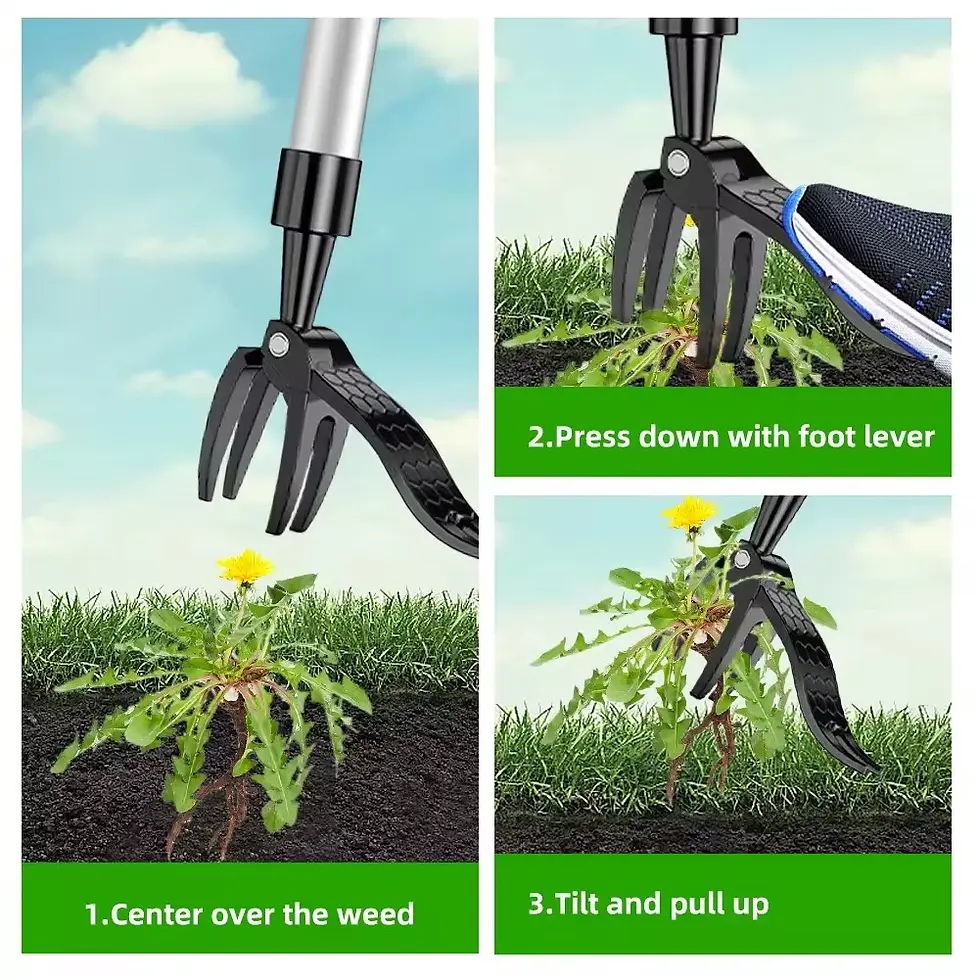 Thumbnail: Weeder Puller Stand Up Weed Tool with Handle Garden Outdoor Root Remover Killer