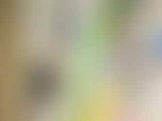 Przekrętka na Połogu