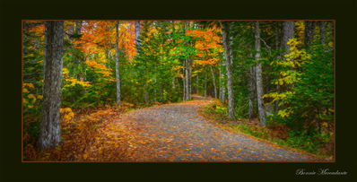 I_Passage Through Autumn Splendor_Bonnie Mercadante_w.jpg