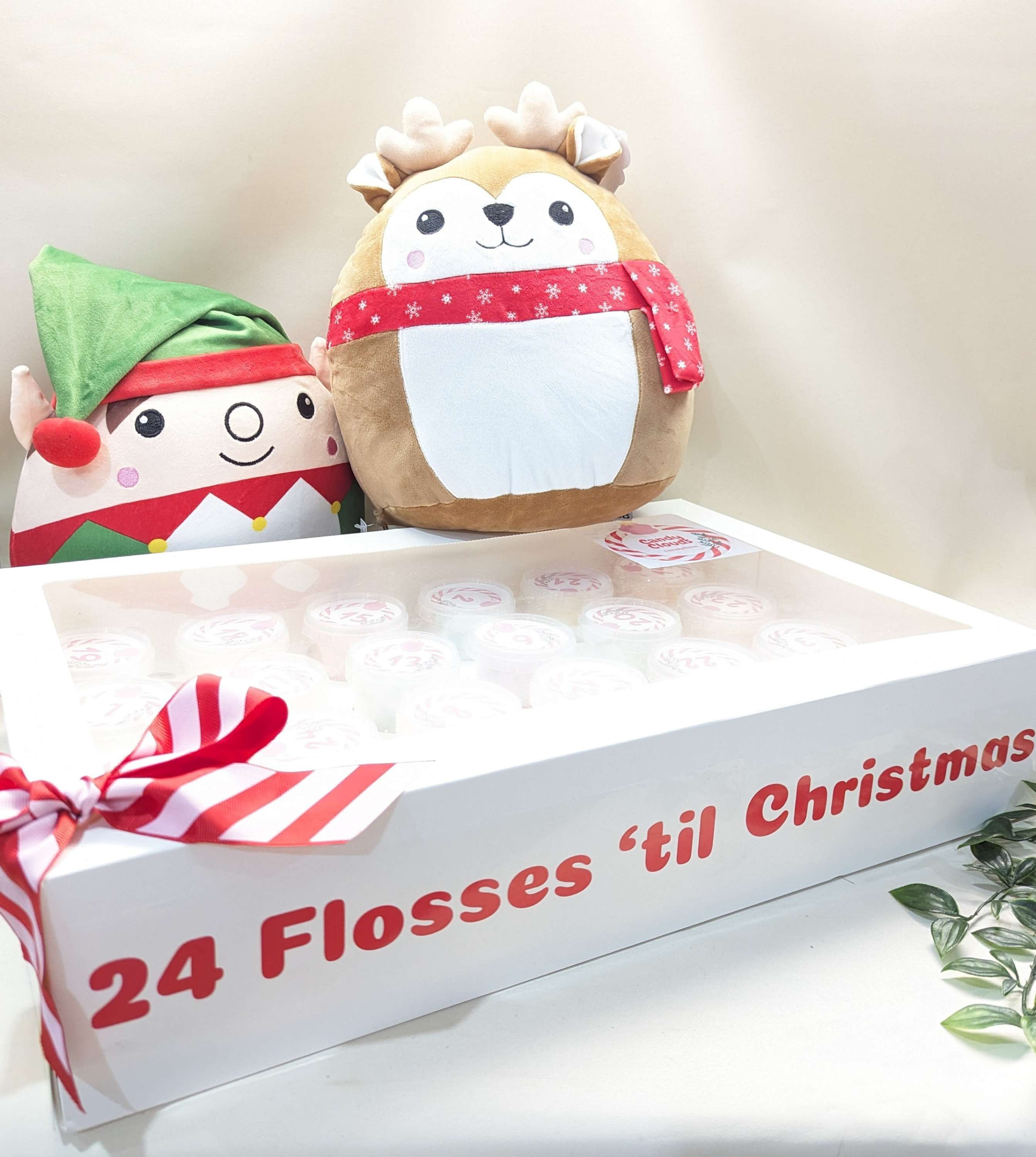 Fluffy & Squidgy Gift Set