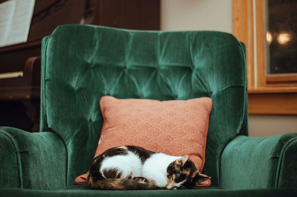 A tricolor cat sleeping soundly in a comfy emerald green chair with a peach pillow