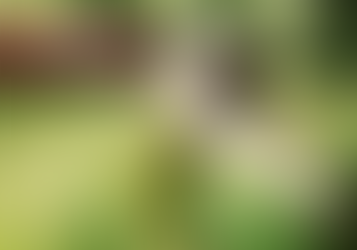 Buscando um renovo de Deus para continuar ( Hebreus 3.2)