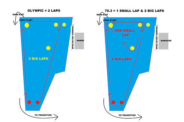 WILD BOAR SWIM LAYOUT.png