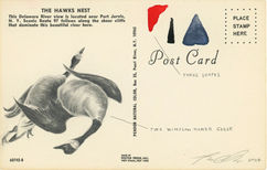 A Robyn O'Neil pencil drawing of two falling geese, referencing a Winslow Homer painting.