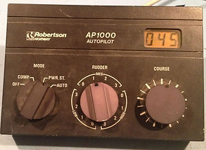 AP1000.jpg