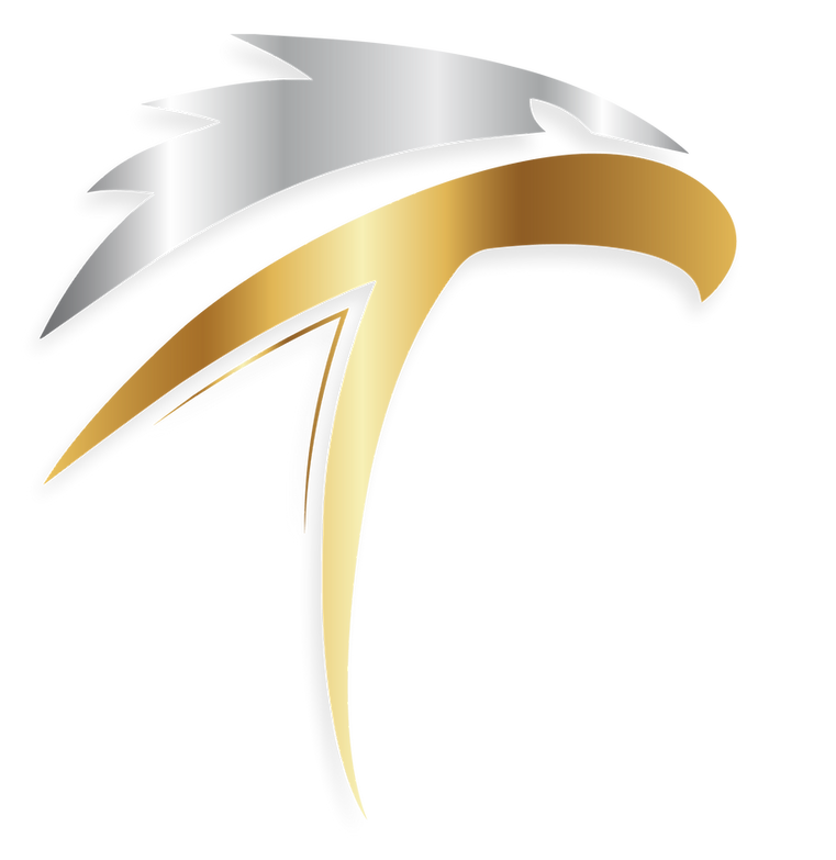 taqfeeq logo shadowed.png