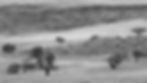 the-living-desert-2903638_1920.jpg