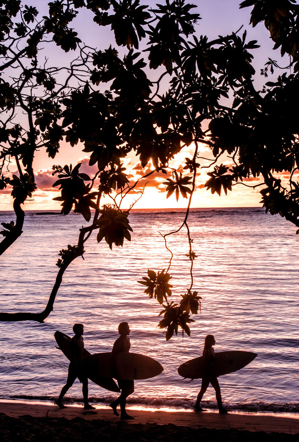 20150529TurtleBayKharenHill-2646_edited.jpg