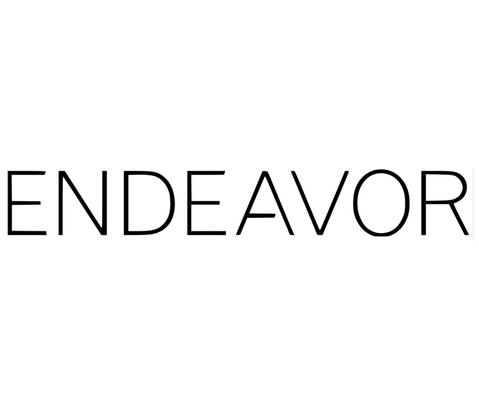 endeavor.png