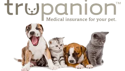 trupanion.webp