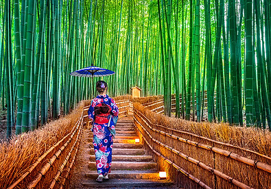 京都嵐山.jpeg