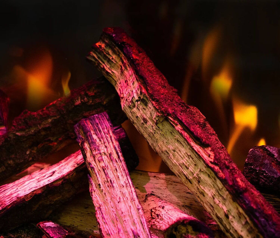 Thumbnail: British woodland - Luxe