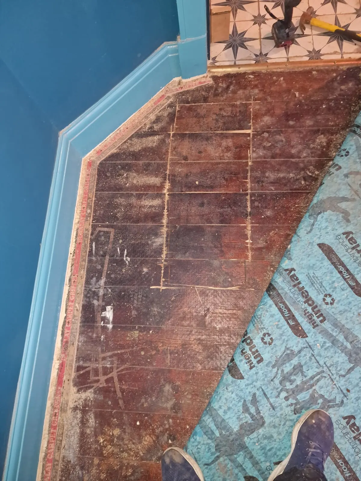  Wooden flooring quoting 2 to find the leak detection with blue skirting board and blue walls. The carpet has been pulled back 