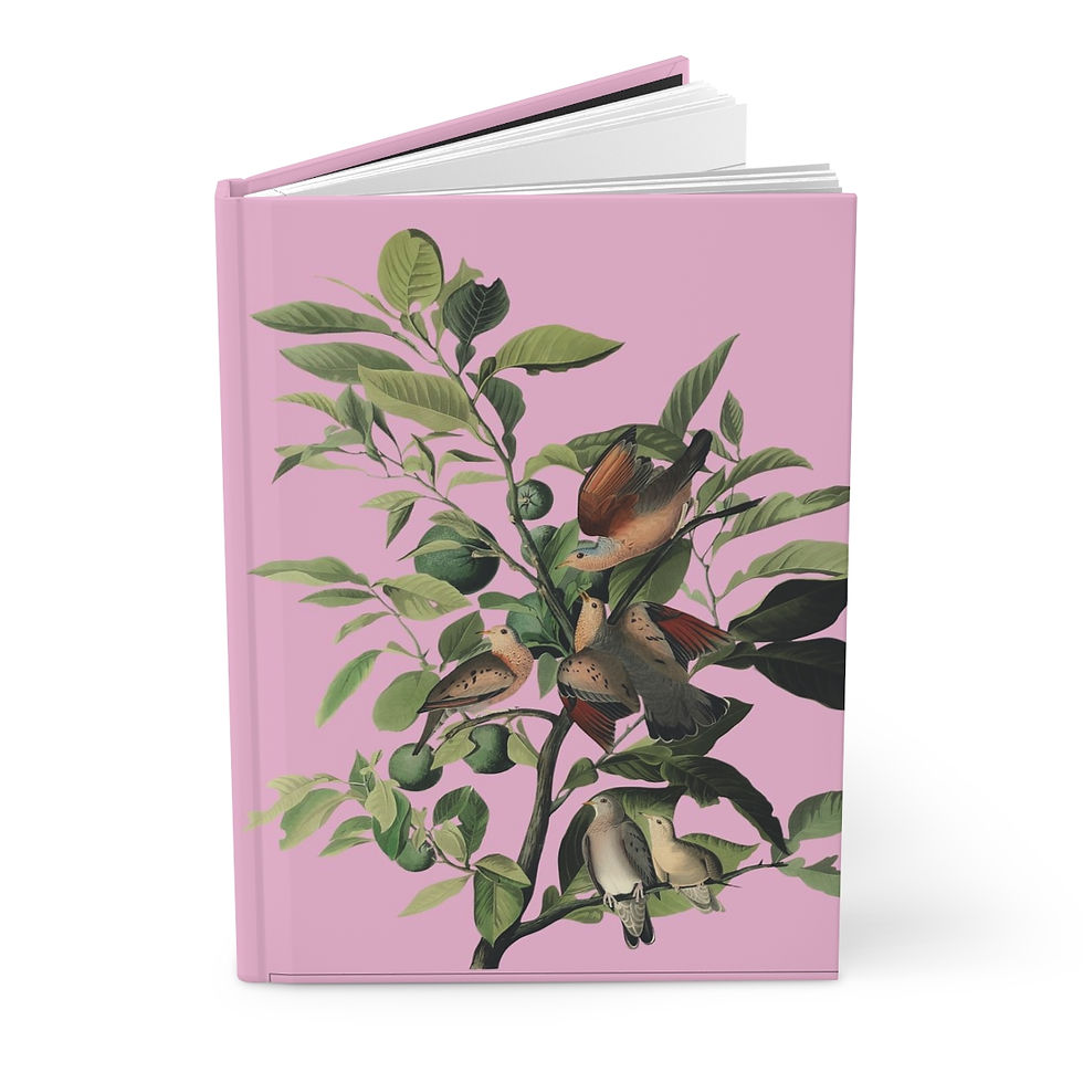 Thumbnail: Hardcover Journal Matte