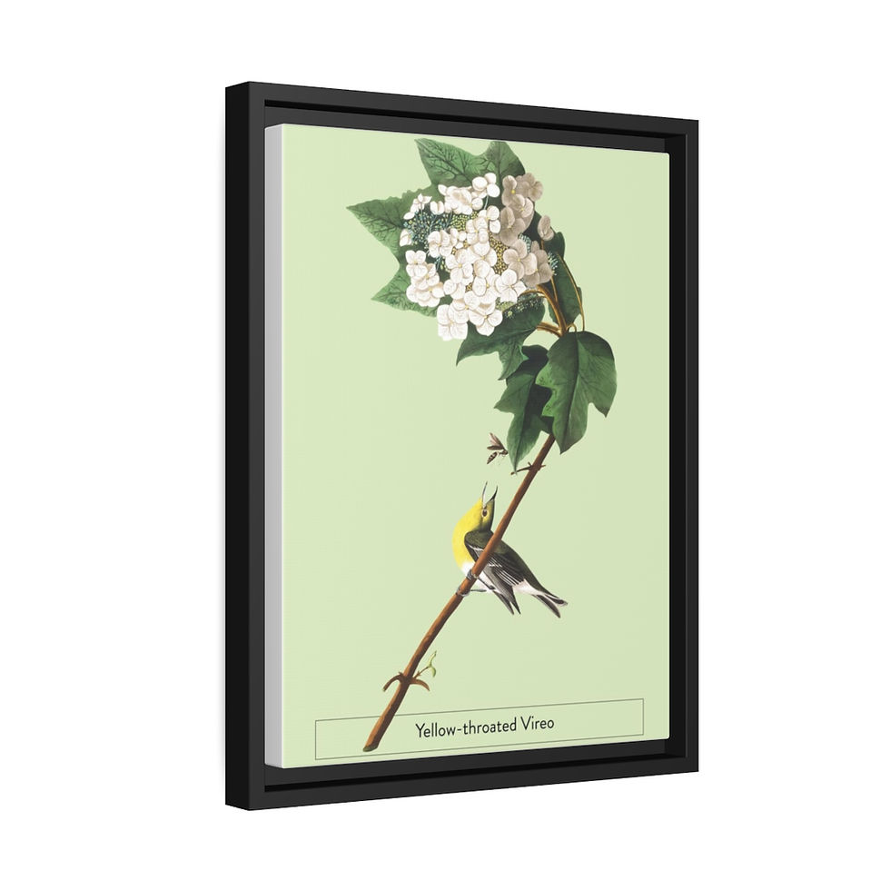 Thumbnail: Matte Canvas, Black Frame