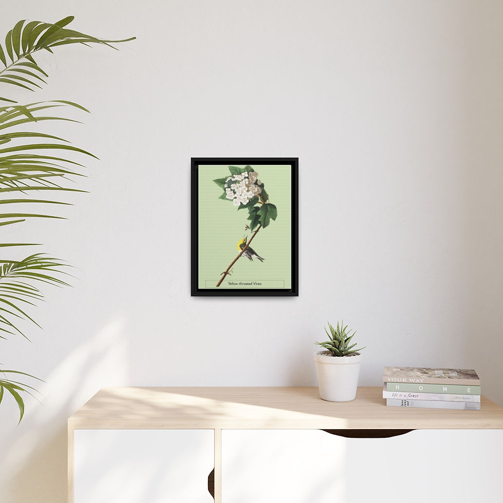 Thumbnail: Matte Canvas, Black Frame