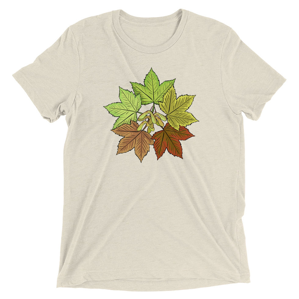Thumbnail: Five Seasons Maple - Short sleeve t-shirt