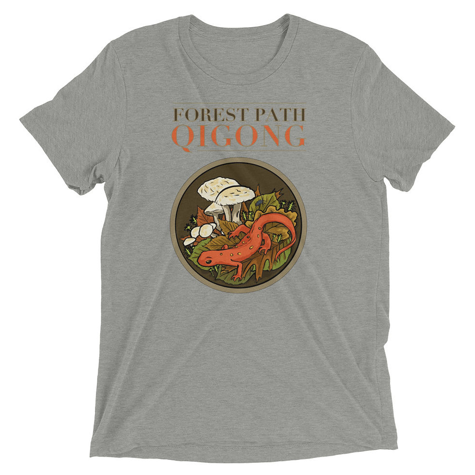Thumbnail: Forest Path Qigong Unisex Tri-Blend T-Shirt