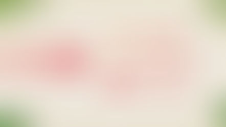 Sunset Palato 2023: O melhor do Verão na varanda do Praia.