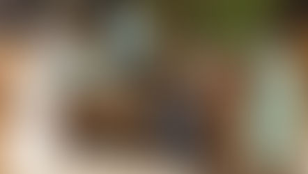 Verão no Casa: o arquiteto Alan Gaia dá dicas para decorar o seu lar.