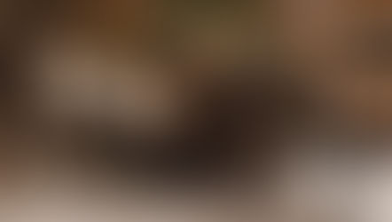 Poltronas: harmonize beleza e conforto em sua casa.