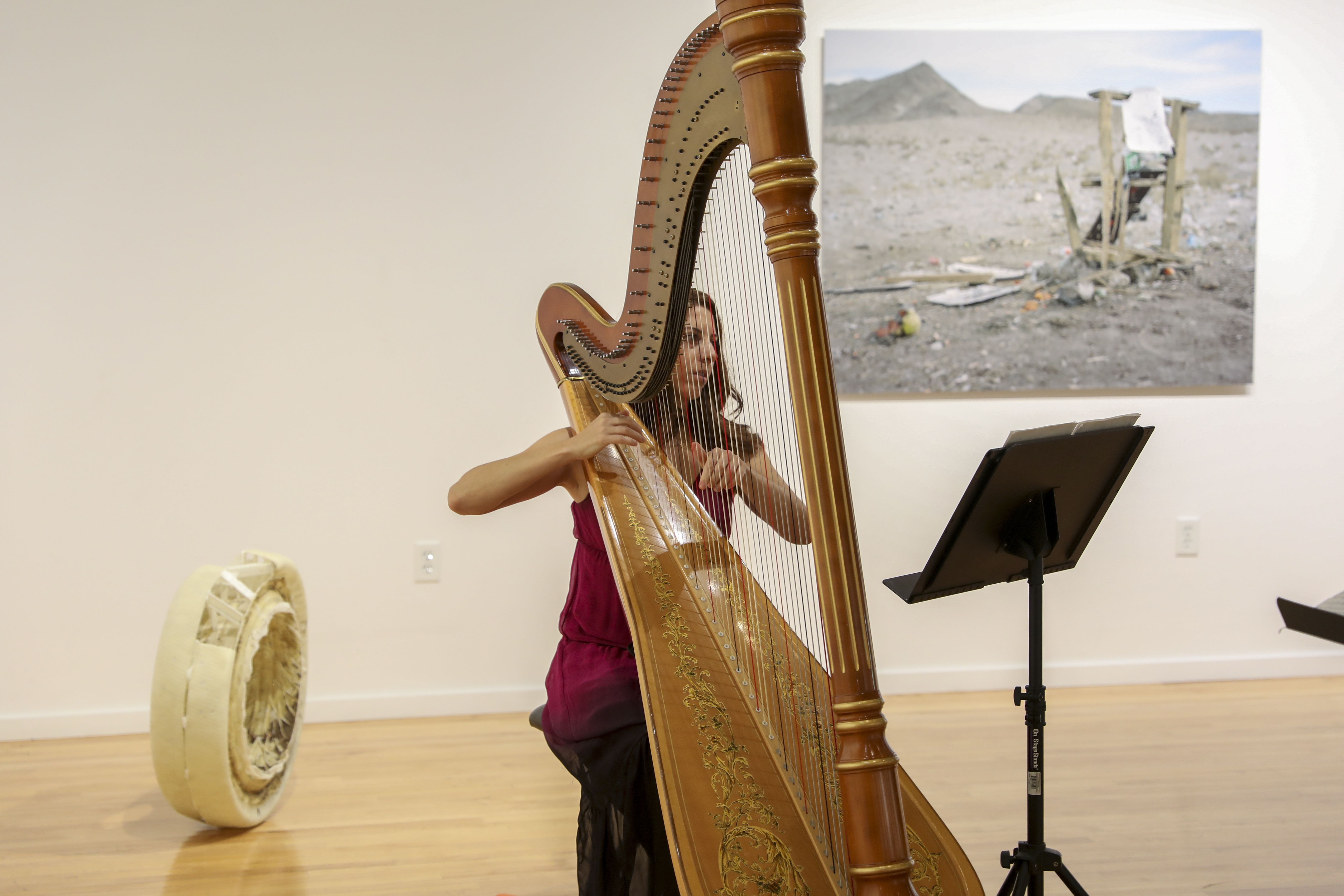 Harp music at museum