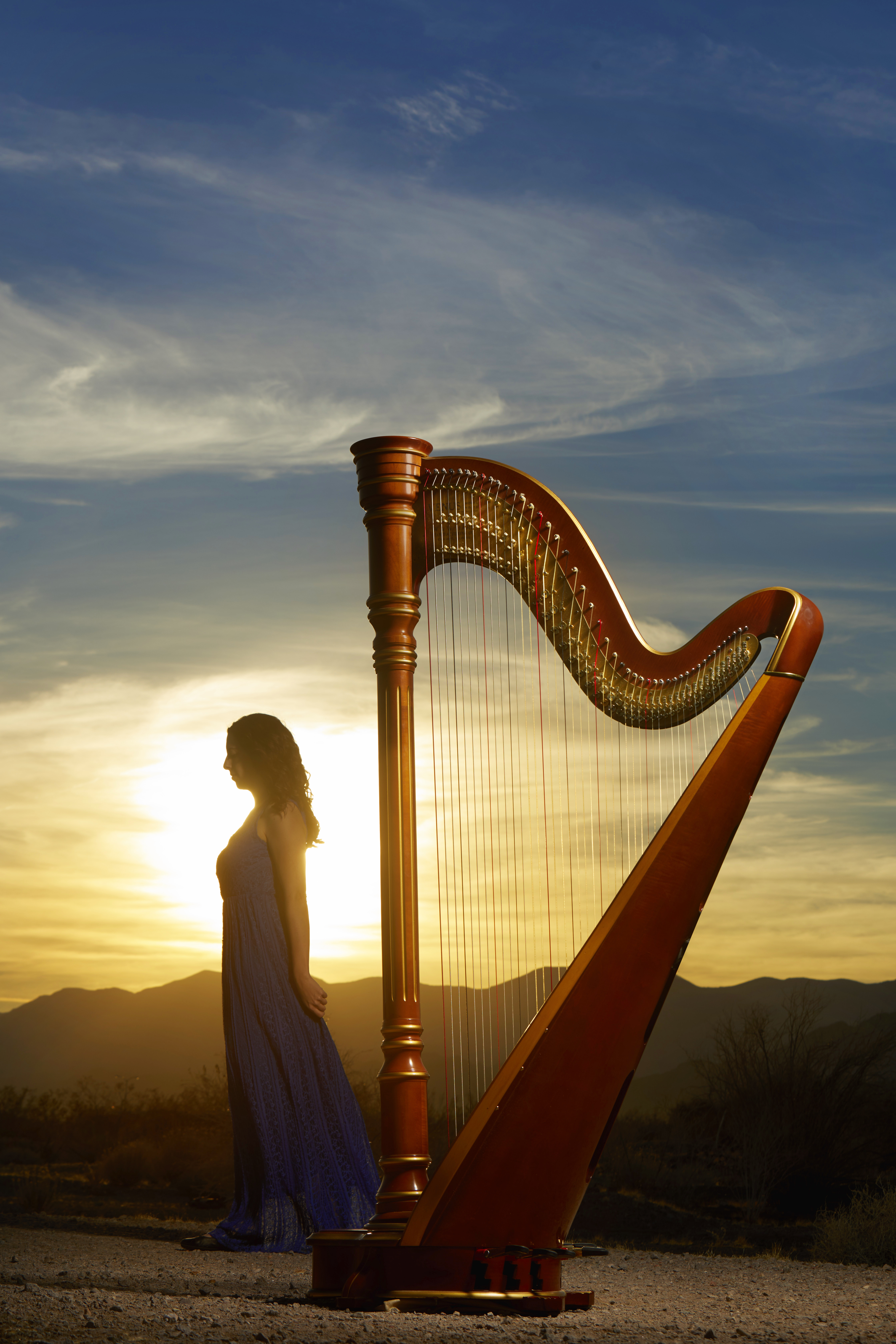Harp and sunset