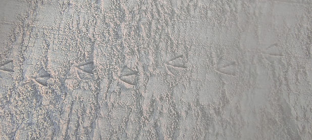 WhatsApp Image 2023-06-12 at 13.01.52.jpeg